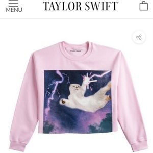 SOLD Taylor Swift Pink Cropped Sweatshirt